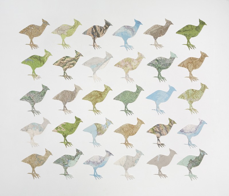 Mrs Darwin's Birds by Carole Wilson